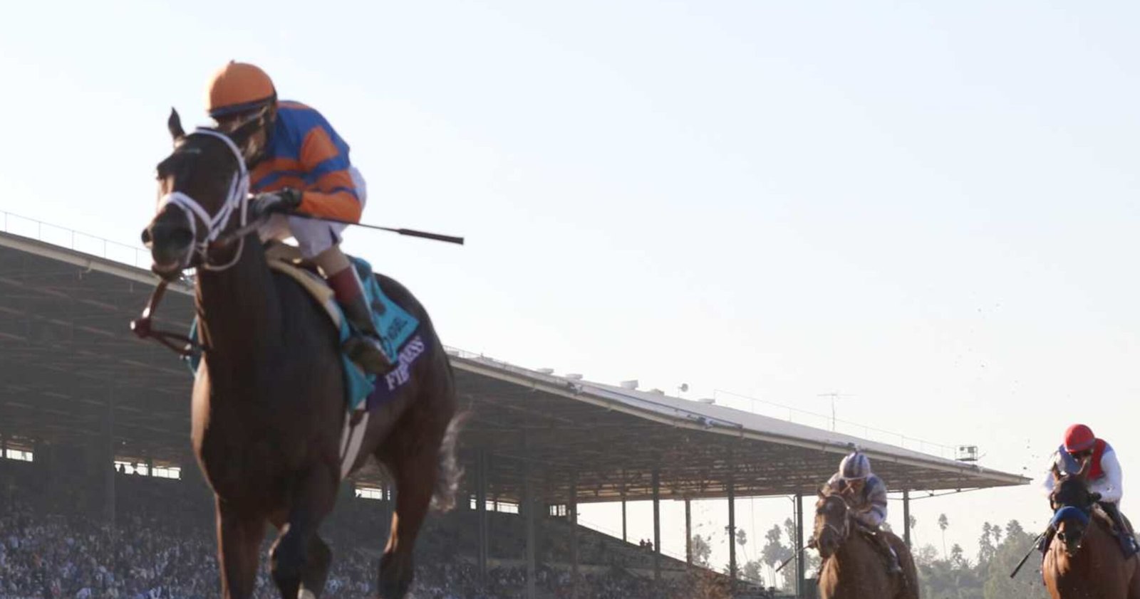 Breeders' Cup 2024: Odds and Predictions for All Races | News, Scores, Highlights, Stats, and Rumors