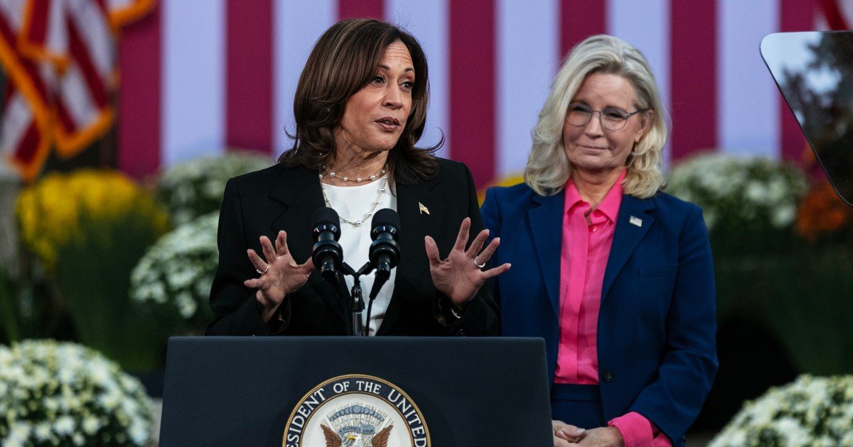 How Harris can win Trump-skeptical Republican voters