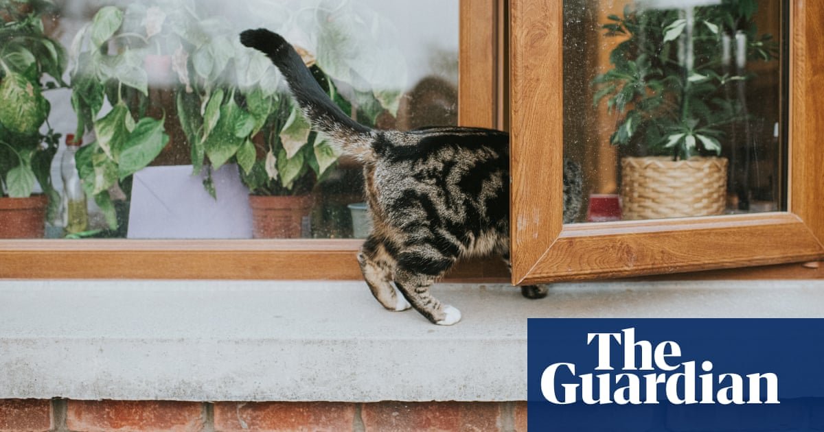 Why do windows in the UK open outwards? | Life and style