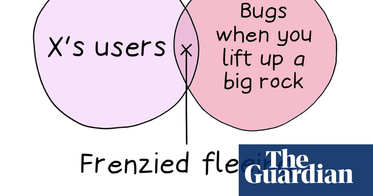 From X’s users to bugs under a rock: Edith Pritchett’s week in Venn diagrams – cartoon