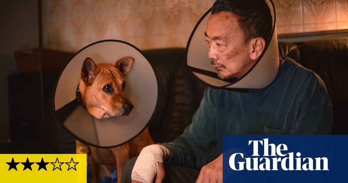 Alone No More review – touching shaggy dog tale about a stray mutt who rescues a lonely old man | Movies