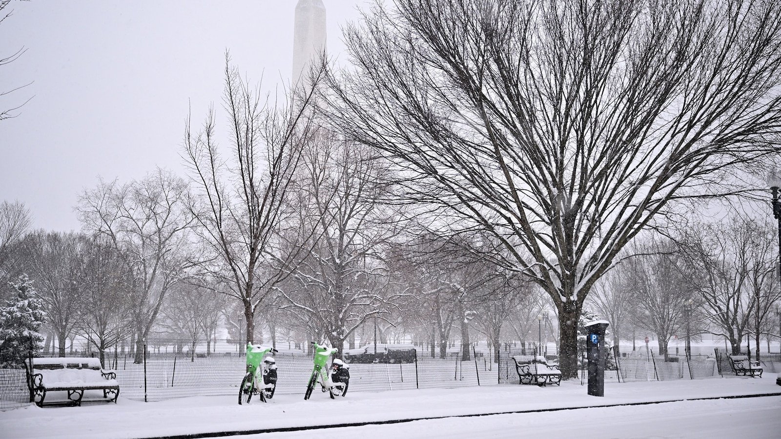 Major winter storm slams mid-Atlantic, closing schools and canceling flights: Latest