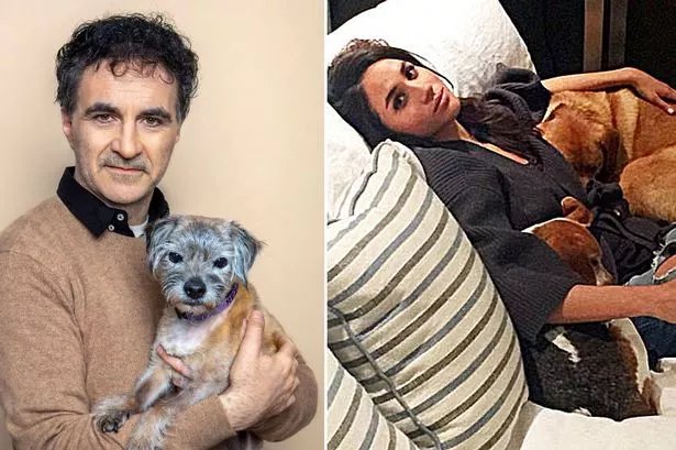 Meghan Markle and Prince Harry's close bond with Noel Fitzpatrick as dog Guy dies