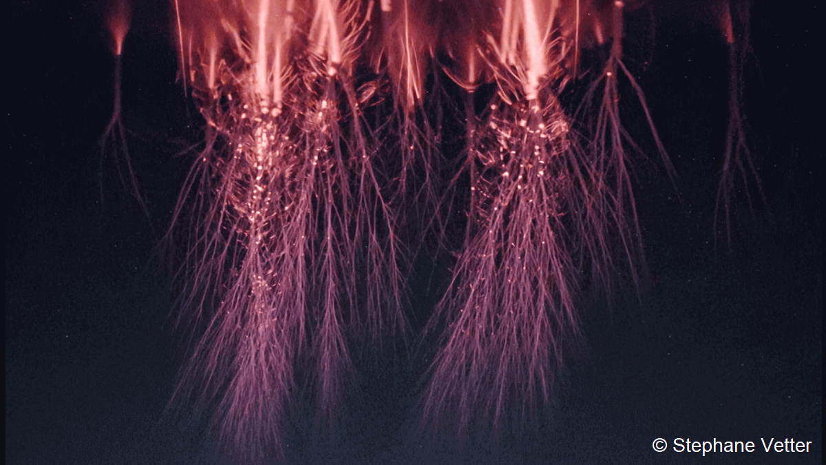 Red sprites, gigantic jets, elves: Captivating upper-atmosphere lightning