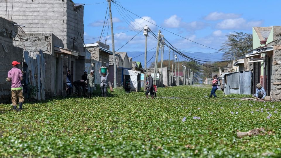 Download app from appStore