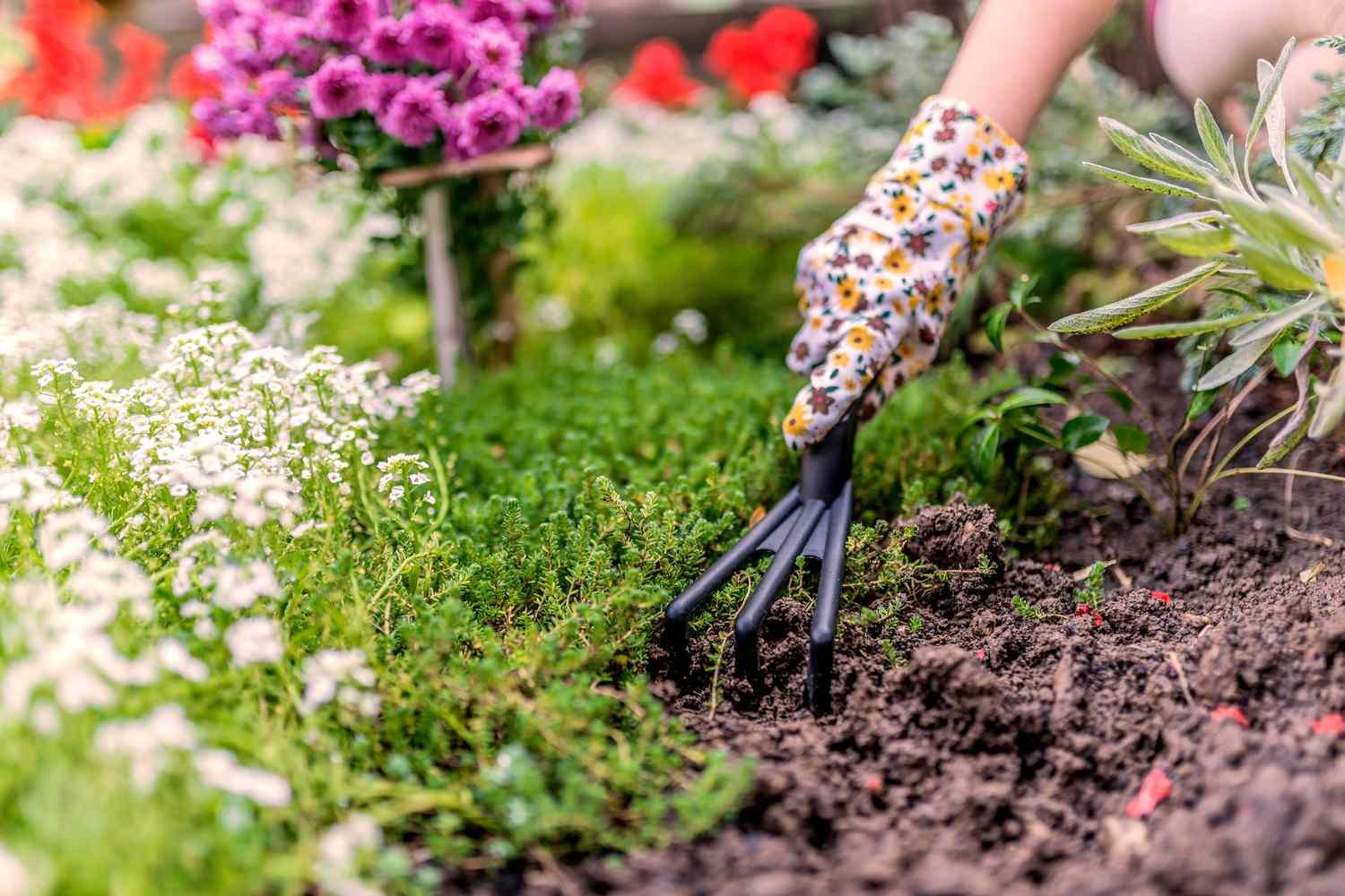 10 Challenging Weeds and How to Manage Them