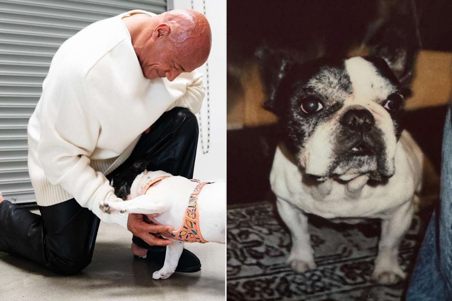 Dwayne Johnson Announces Heartbreaking Death of His Dog Hobbs in Emotional Post