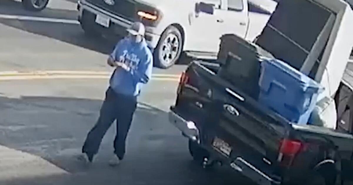 Jarring footage shows hit-and-run suspect leave victim in L.A. road, police say