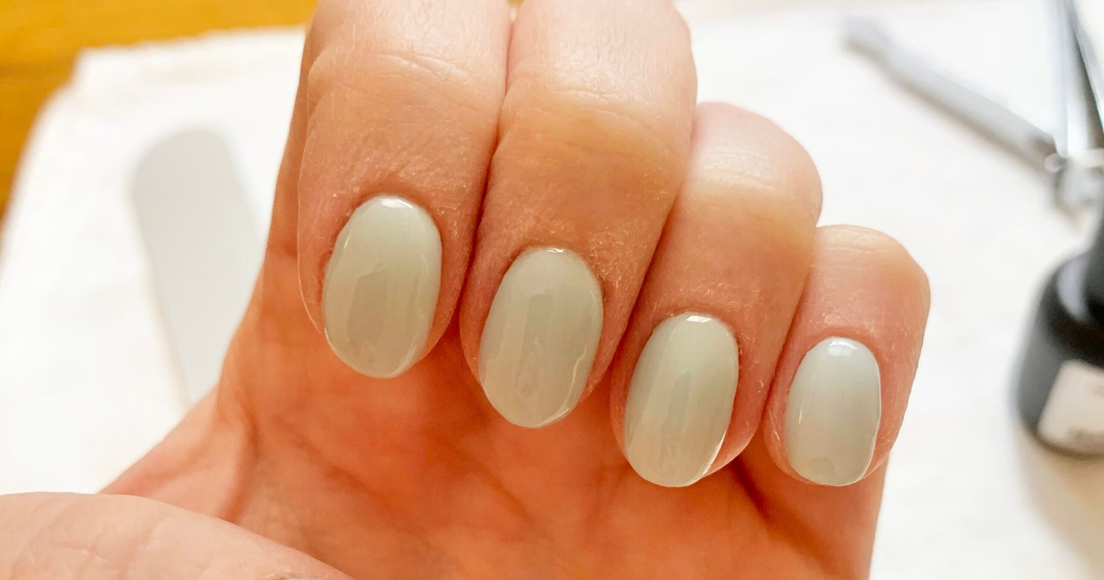 Nailboo Dip Manicure System Review With Photos