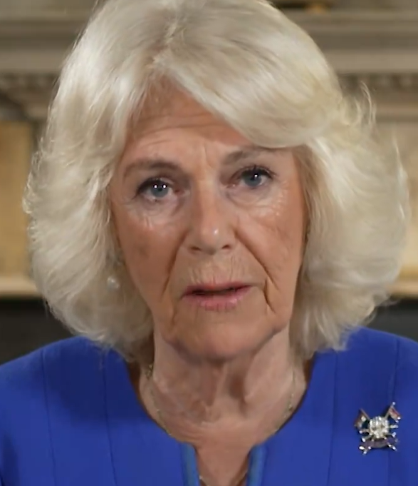 Queen Camilla sees important work of specialist support for women affected by domestic violence