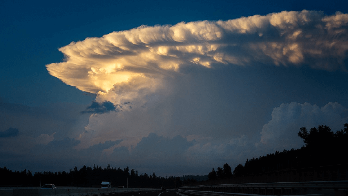 The role of wind shear in shaping cumulonimbus anvil