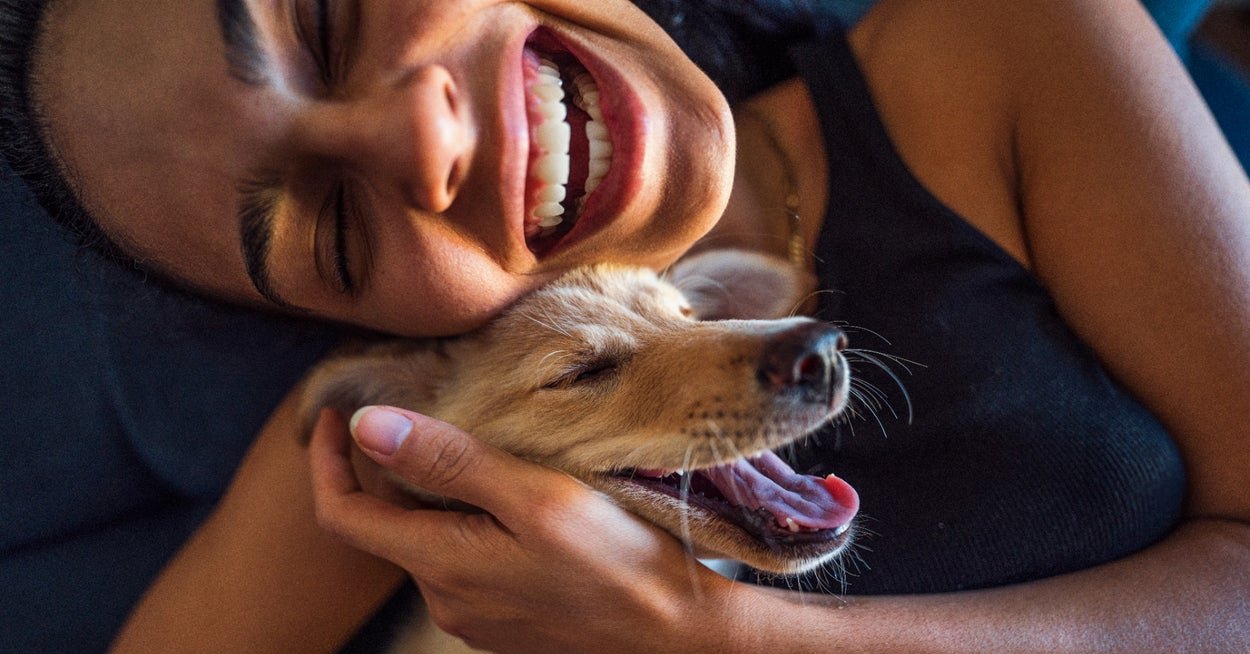 Dog Health Changes Vets Say You Shouldn't Ignore