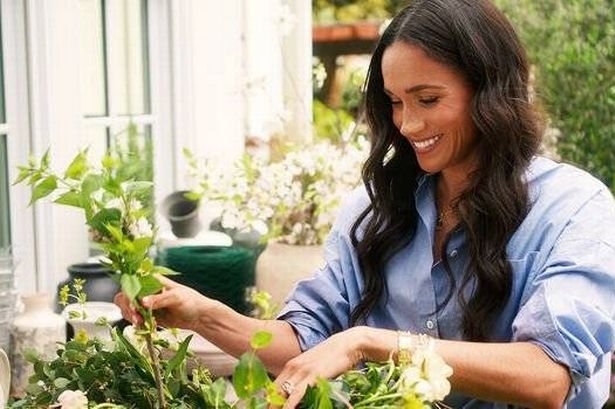 Meghan Markle fans 'begging' Netflix for second season of new show despite scathing reviews