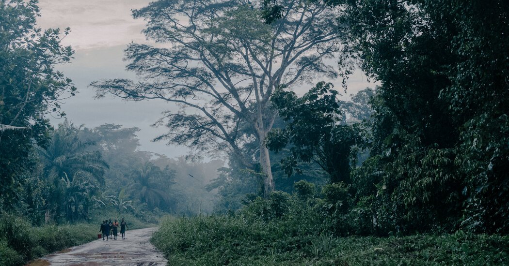 Unknown Illness Kills Dozens in Congo as Experts Clash on Cause