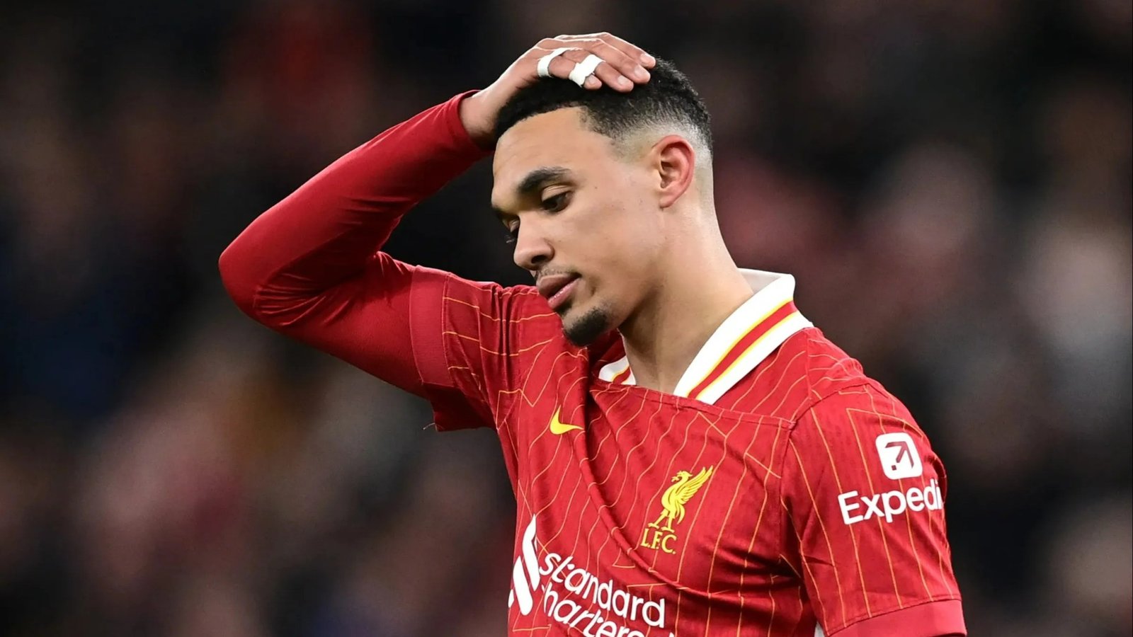 'He's no scouser' - UFC star Paddy Pimblett eviscerates Trent Alexander-Arnold as Liverpool star heads for Real Madrid
