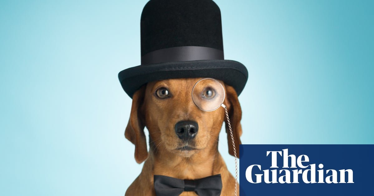 The dos and don’ts of good petiquette: four cardinal rules for dog owners | Dogs