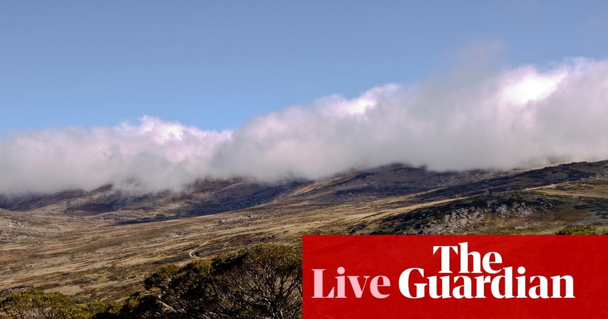 Australia news live: wreckage of missing plane found in Snowy Mountains; Labor expects unemployment to rise | Australia news