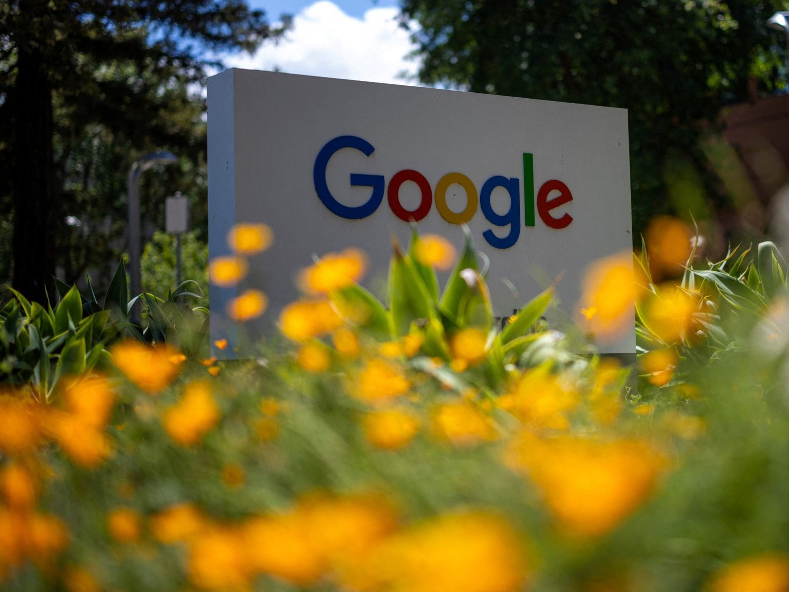 US judge orders Google to share search data with competitors | Technology News