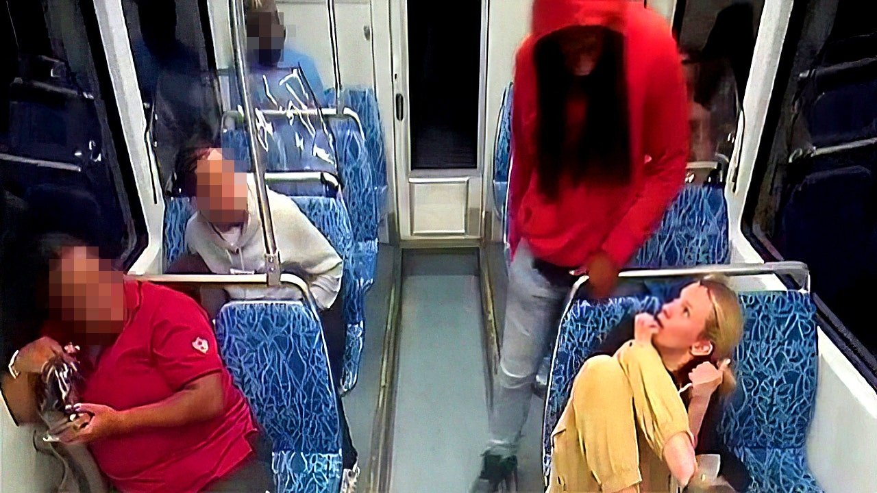 Charlotte-Mecklenburg police release 911 calls from deadly light rail stabbing
