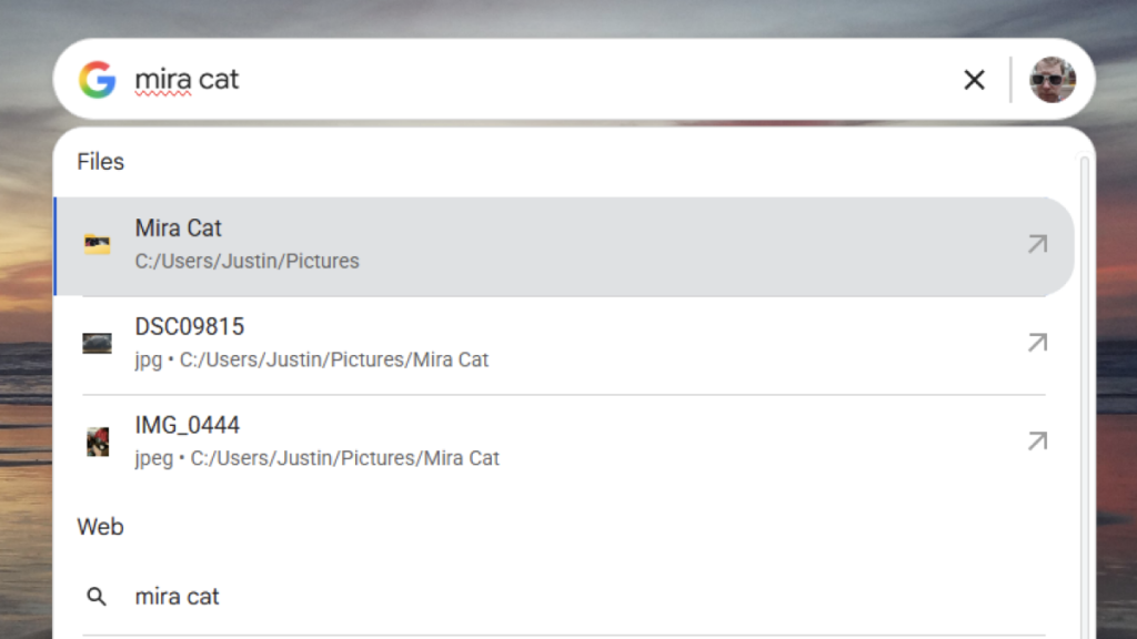 Google’s Desktop Search App Is Back (Kind Of)