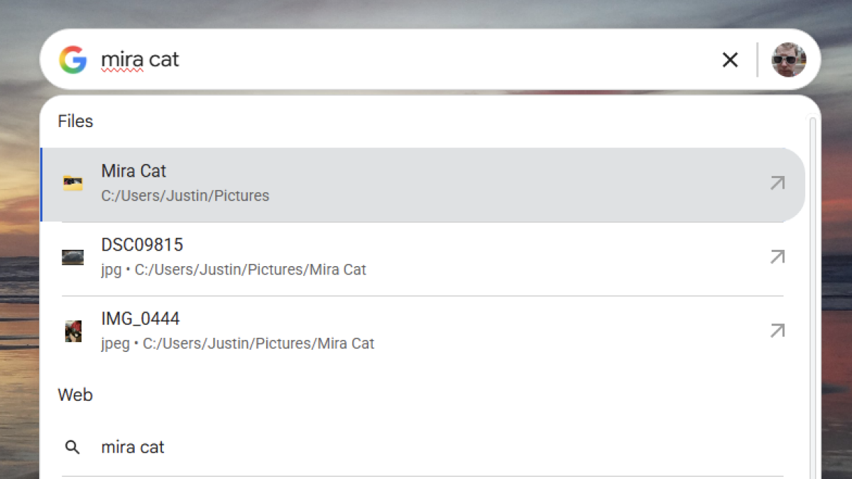 Google's Desktop Search App Is Back (Kind Of)