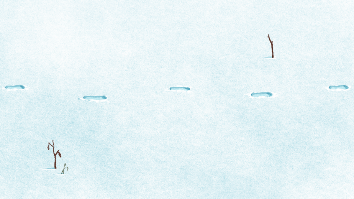 What to Wear to Run in the Cold