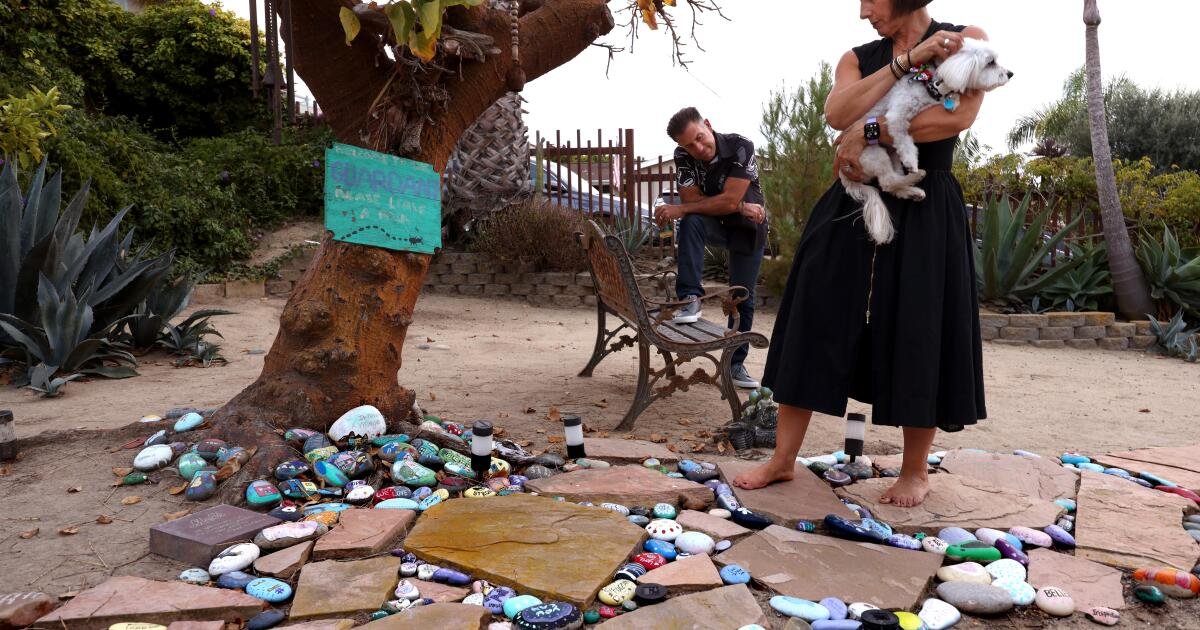 Why autistic kids are far more likely to struggle with depression, anxiety and suicide