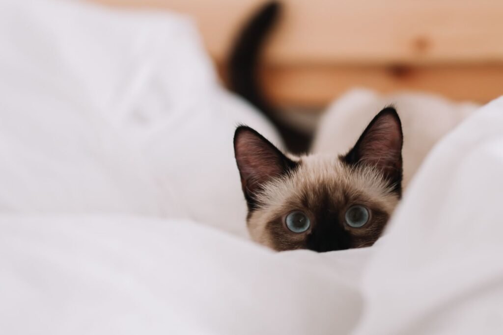 10 Everyday Habits That Are Disrupting Your Sleep—and How to Fix Each One