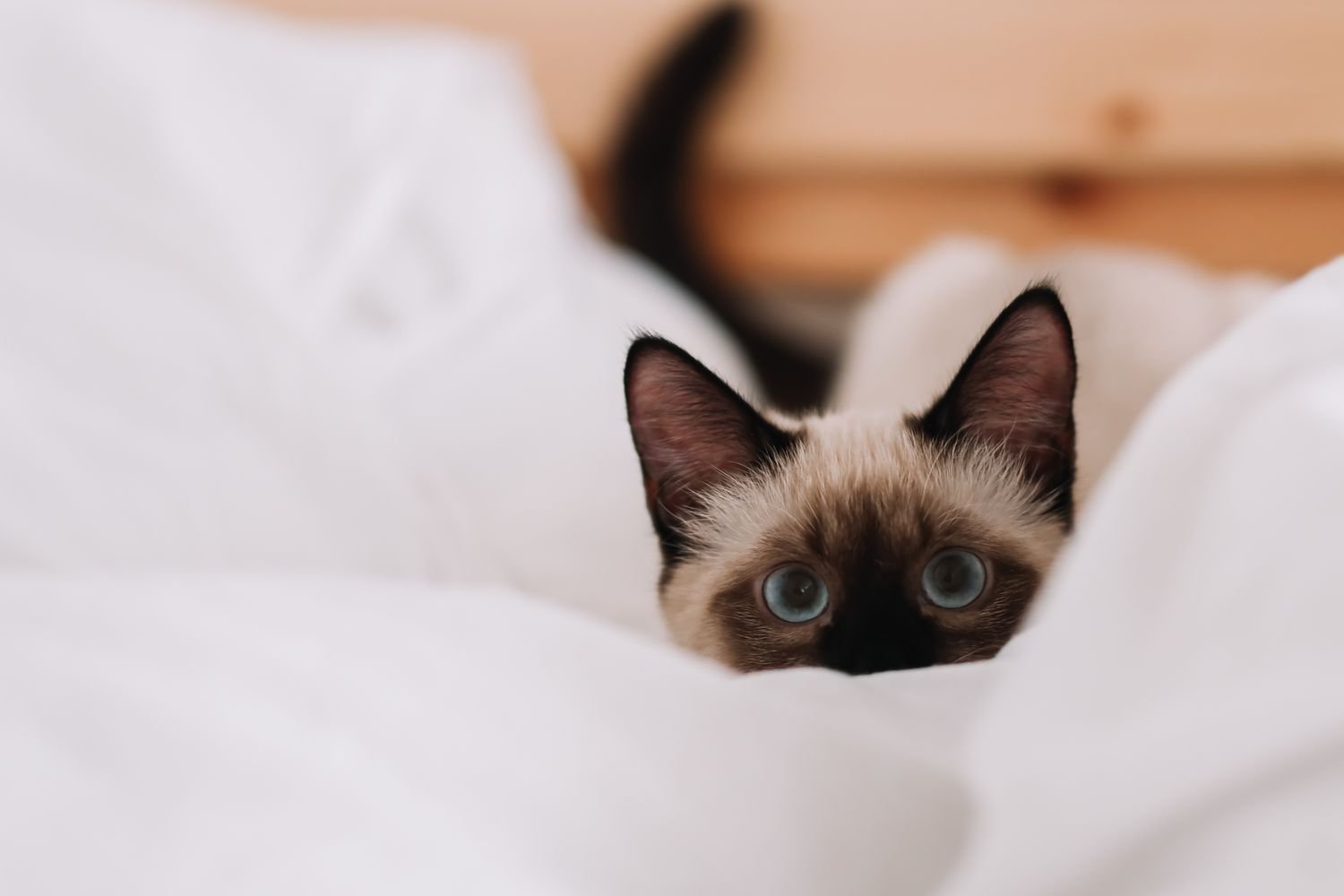 10 Everyday Habits That Are Disrupting Your Sleep—and How to Fix Each One