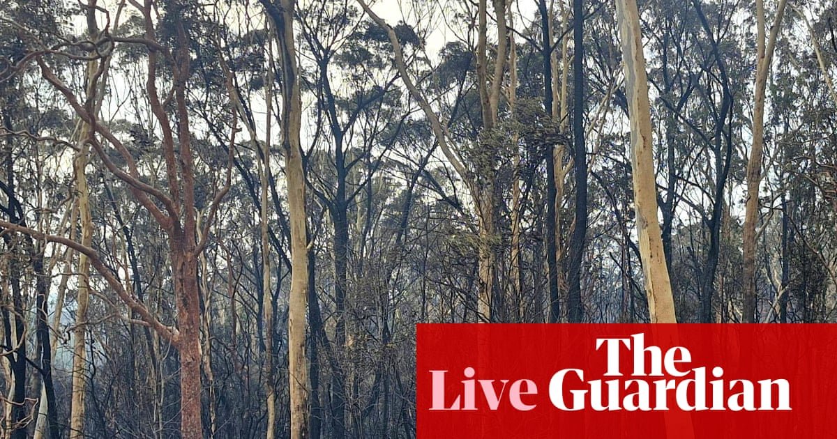 Australia news live: firefighter dies at Bulahdelah in mid-north NSW; Bragg says ‘every back yard’ could fit a new house or granny flat | Australia news
