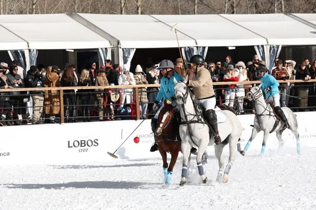 Prince Harry hits polo field as Meghan stays at home and shares surprise reaction