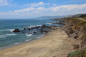 Surfer Drives to the Hospital After Shark Attack, Despite Hand Injury