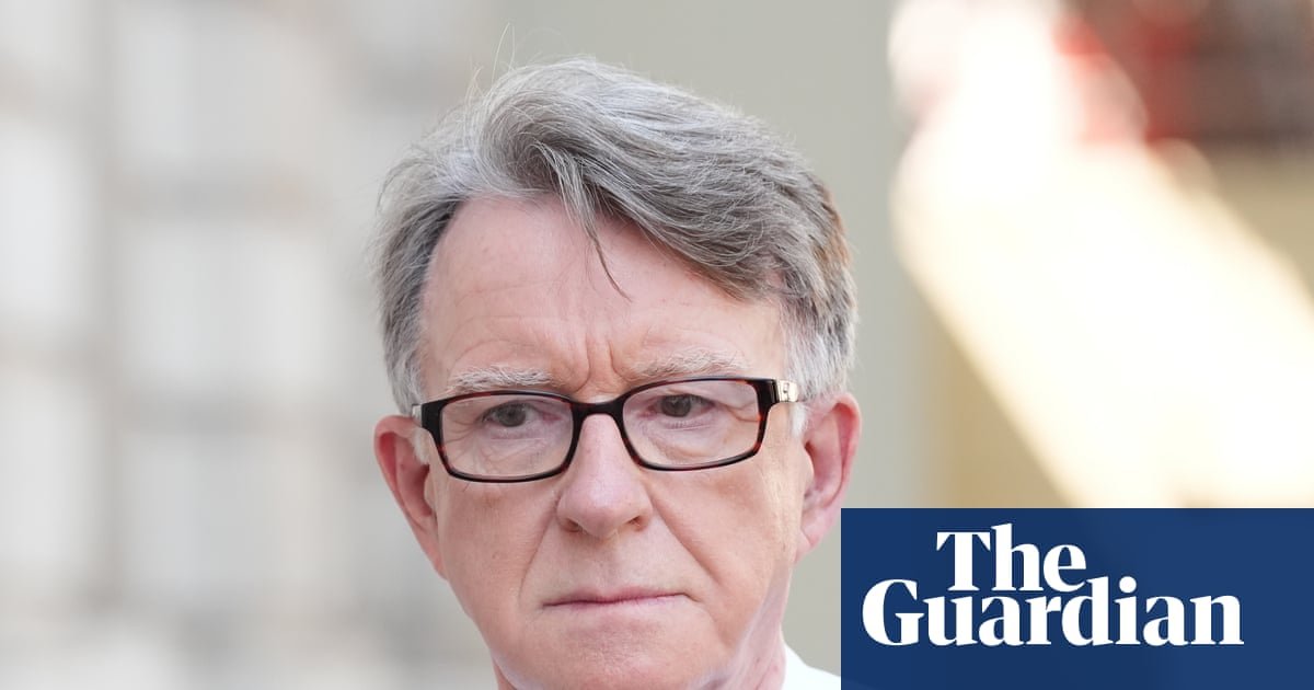 Jeffrey Epstein sent money to Mandelson’s husband after prison release, emails reveal | Peter Mandelson