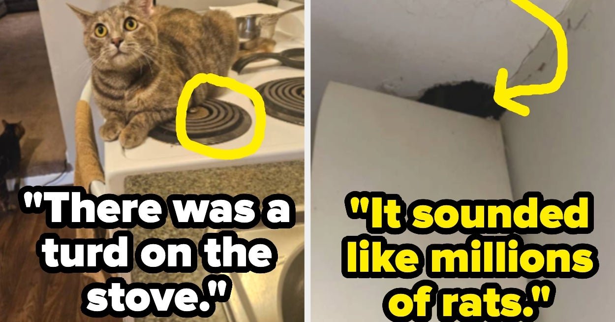 People Are Revealing The "Horrifying" Things They've Seen In Another Person's Home That Made Them Leave IMMEDIATELY, And I'm Shook