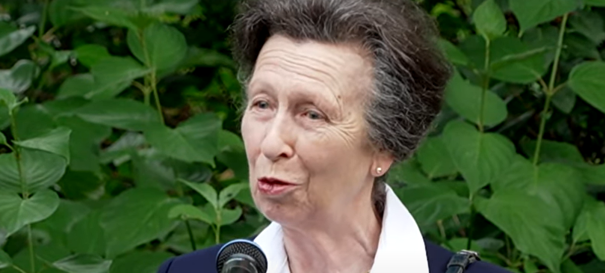 Princess Anne is on royal duty after the shock of Andrew's arrest and release