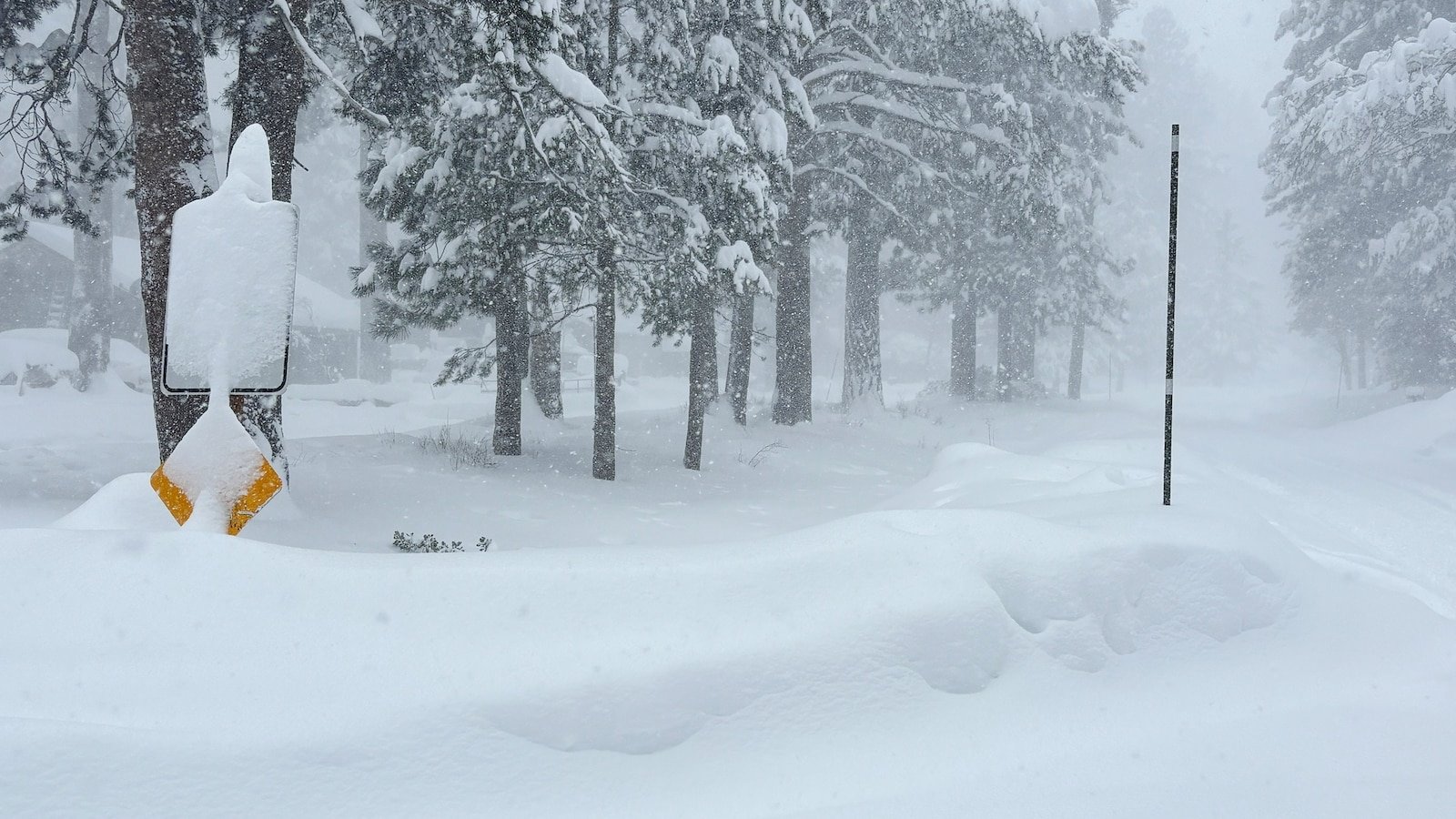 Several backcountry skiers missing following avalanche in northern California: Authorities