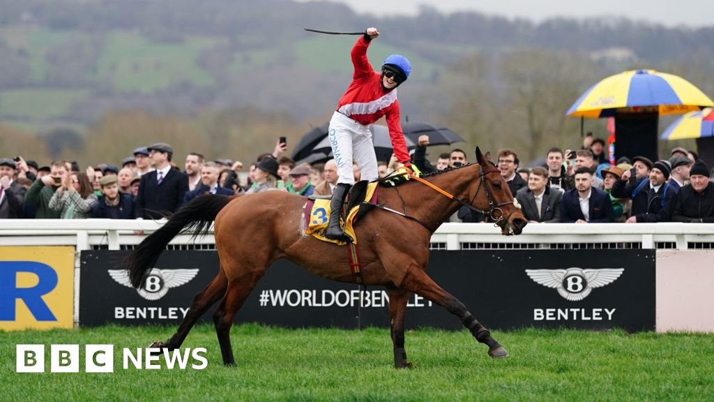 Cheltenham Festival Gold Cup race ends with third death this week