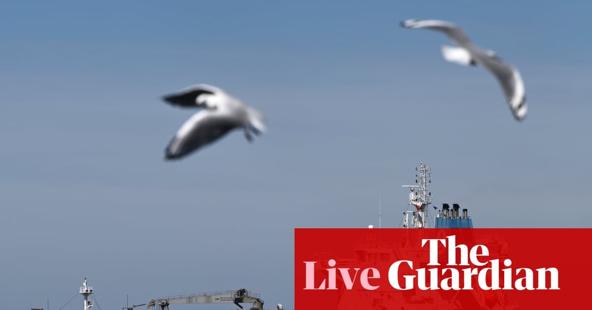 News live: Bowen says Australian fuel reserve has increased despite cancelled import ships; missing Japanese tourist, 81, found alive in Tasmania | Australia news