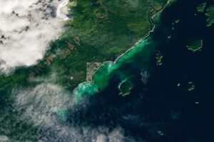 Satellite Spots a Spawn - NASA Science