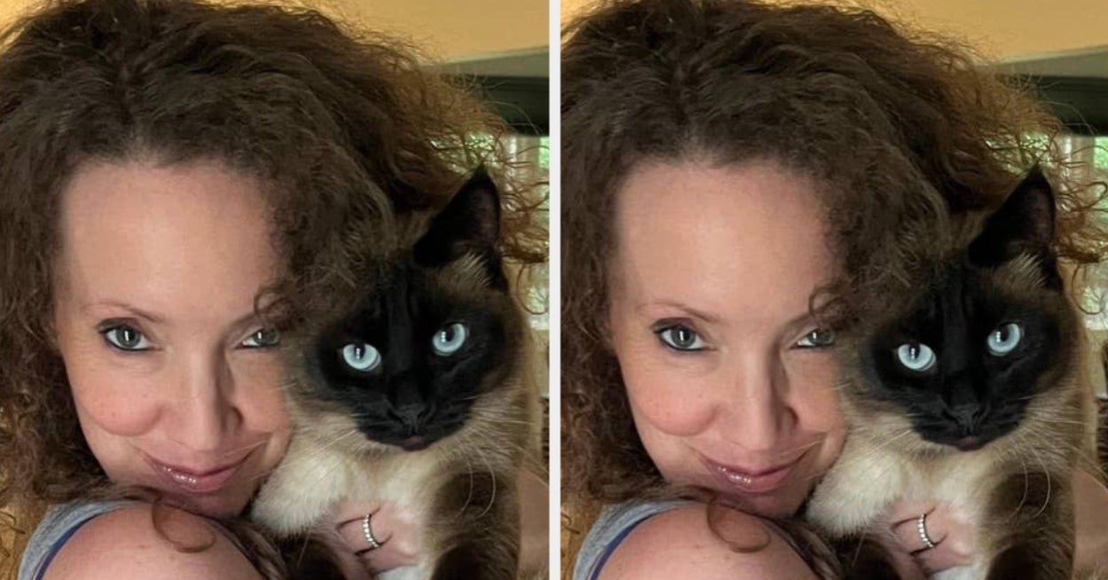 Our Cats Are Like Our Children, So My Husband And I Made A Decision That May Shock Some People