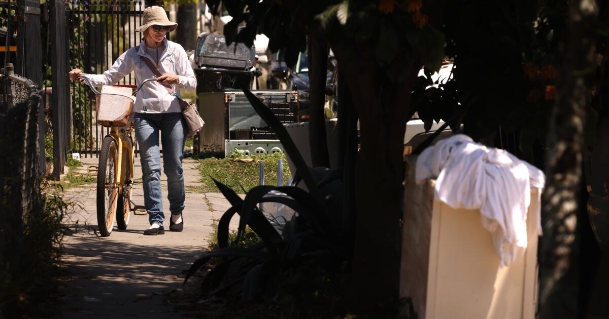 She's a housekeeper with a side job: cleaning the trashed streets of her own neighborhood