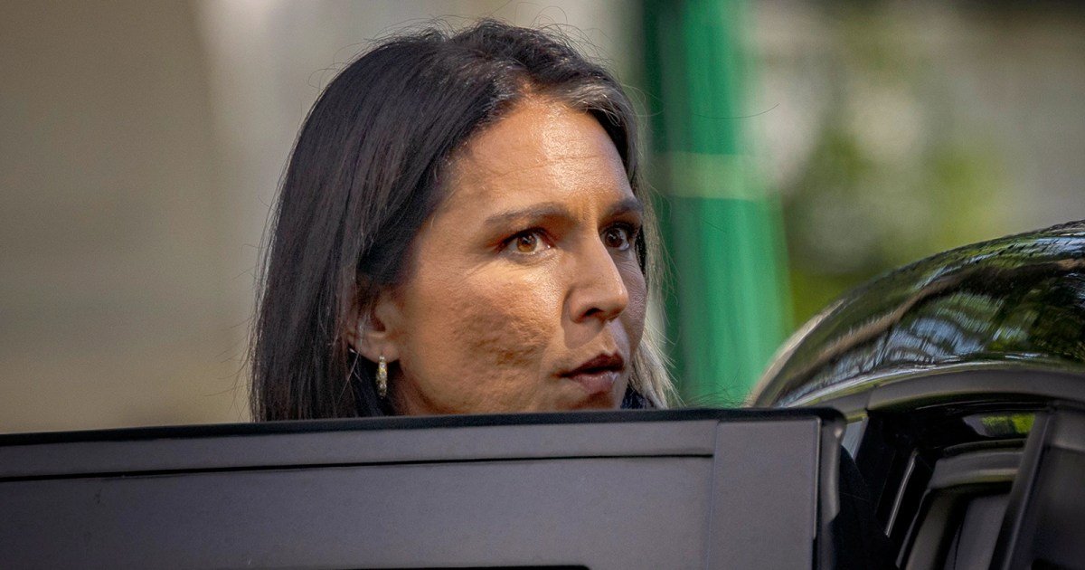 Critics view Tulsi Gabbard as conspiracy theorist and opportunist