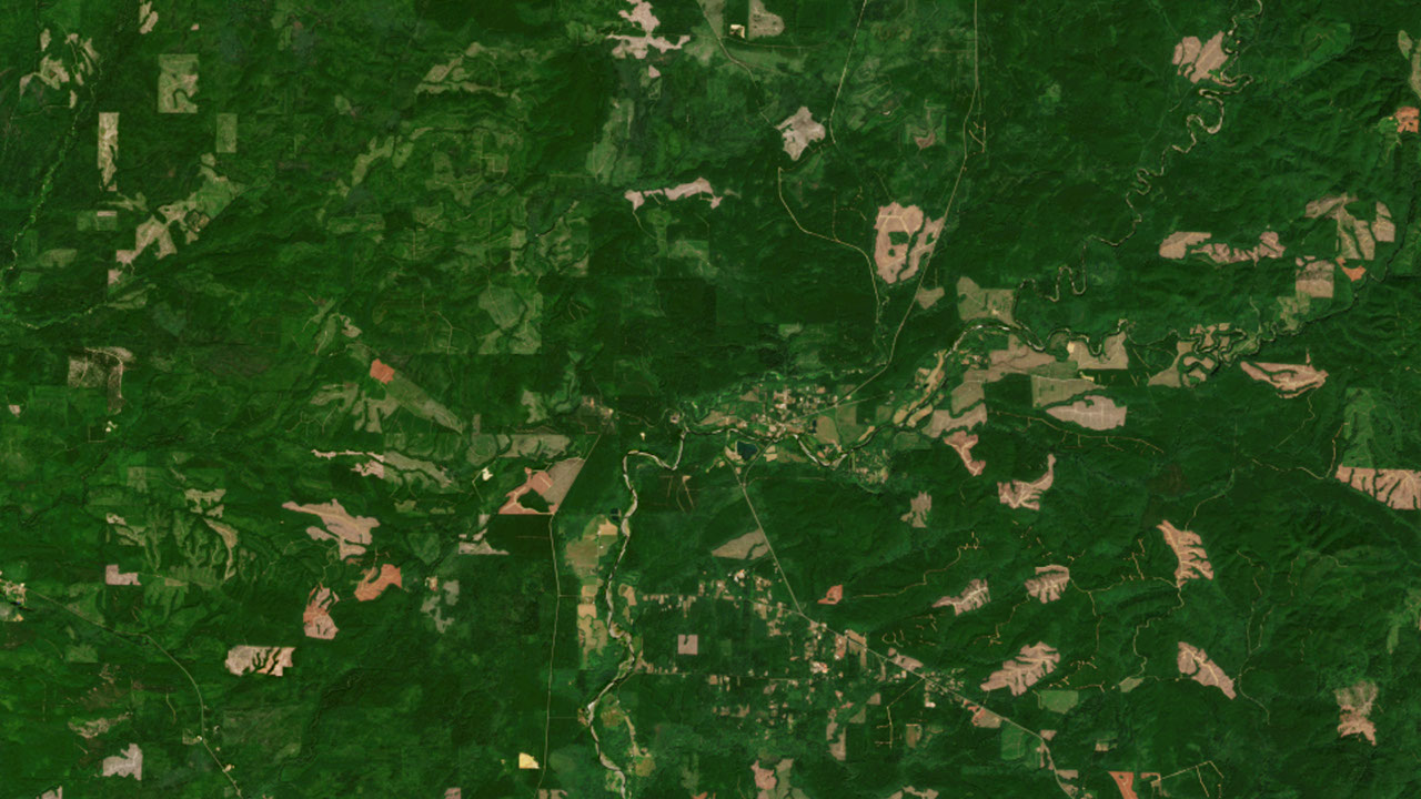 Three Ways that a New Land Monitoring System is Transforming How We Manage Forests
