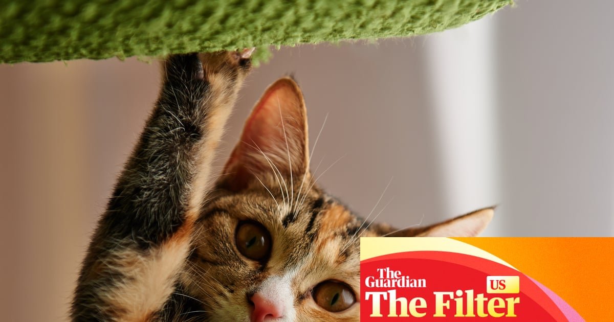 ‘It saved my couch’: 10 must-have items cat owners swear by to pet-proof their home | Life and style
