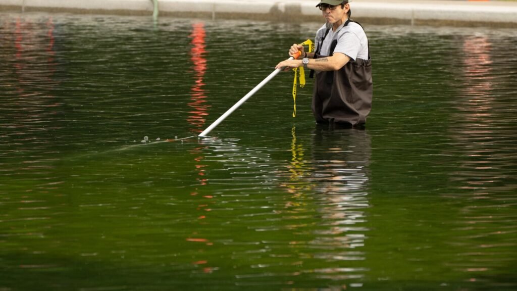 Algae doesn’t care about our party lines : NPR