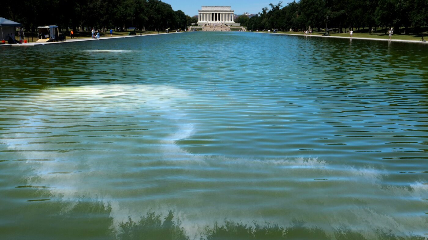 Algae turns reflecting pool green after repainting. Here's why : NPR