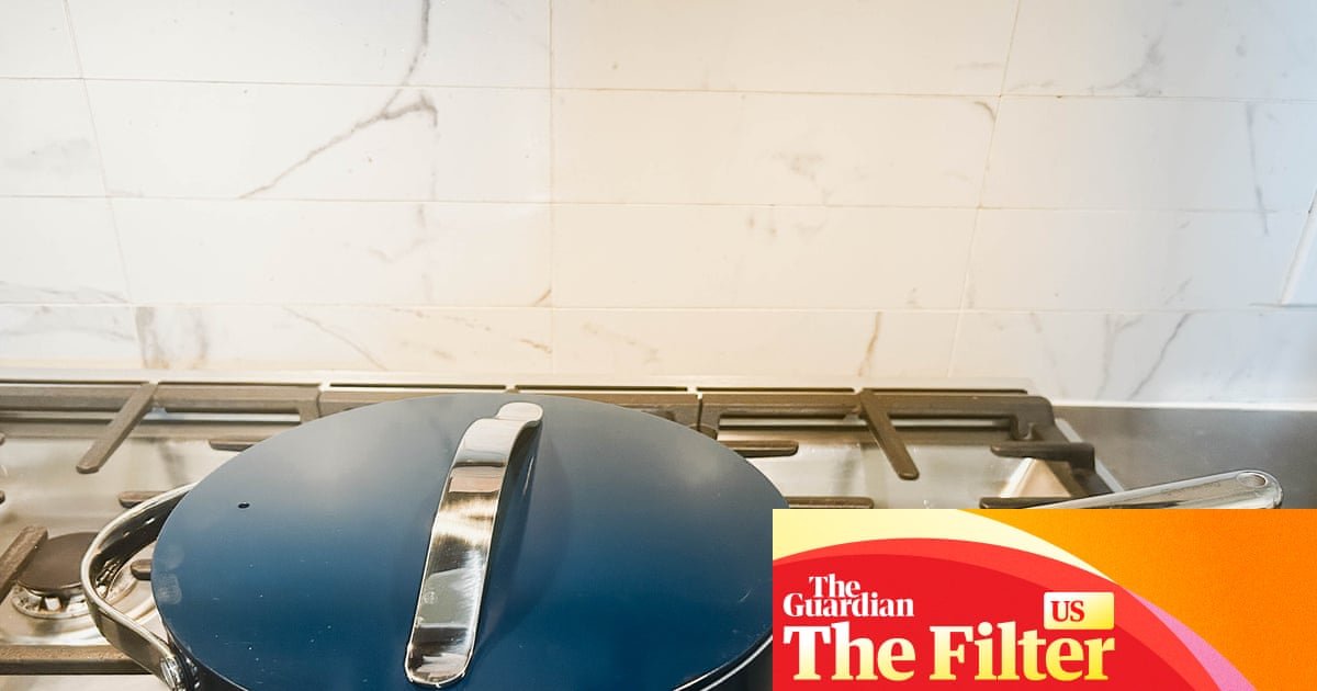 Caraway review: is this the best saute pan that money can buy? I tested to find out | Food