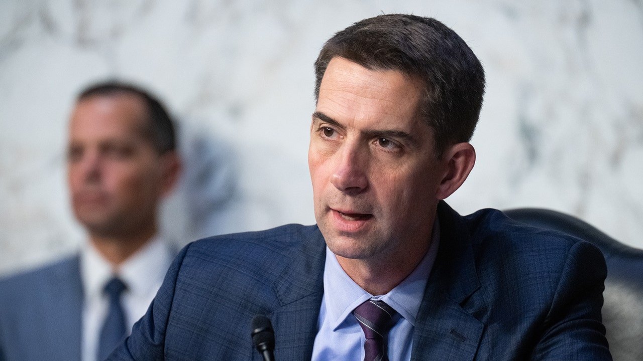 Sen. Tom Cotton urges DOJ to probe China-linked campaign against US AI