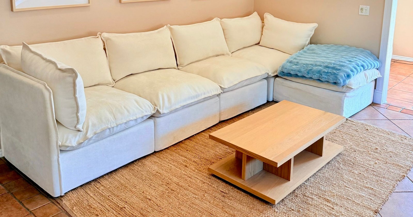 Cozey Gaia Sofa and Sectional: My Review With Photos