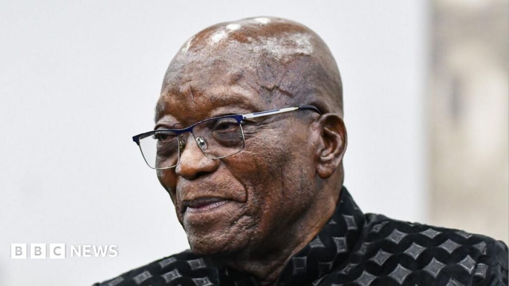 Jacob Zuma showing South Africa ‘middle finger’ by meeting Ajay Gupta – minister